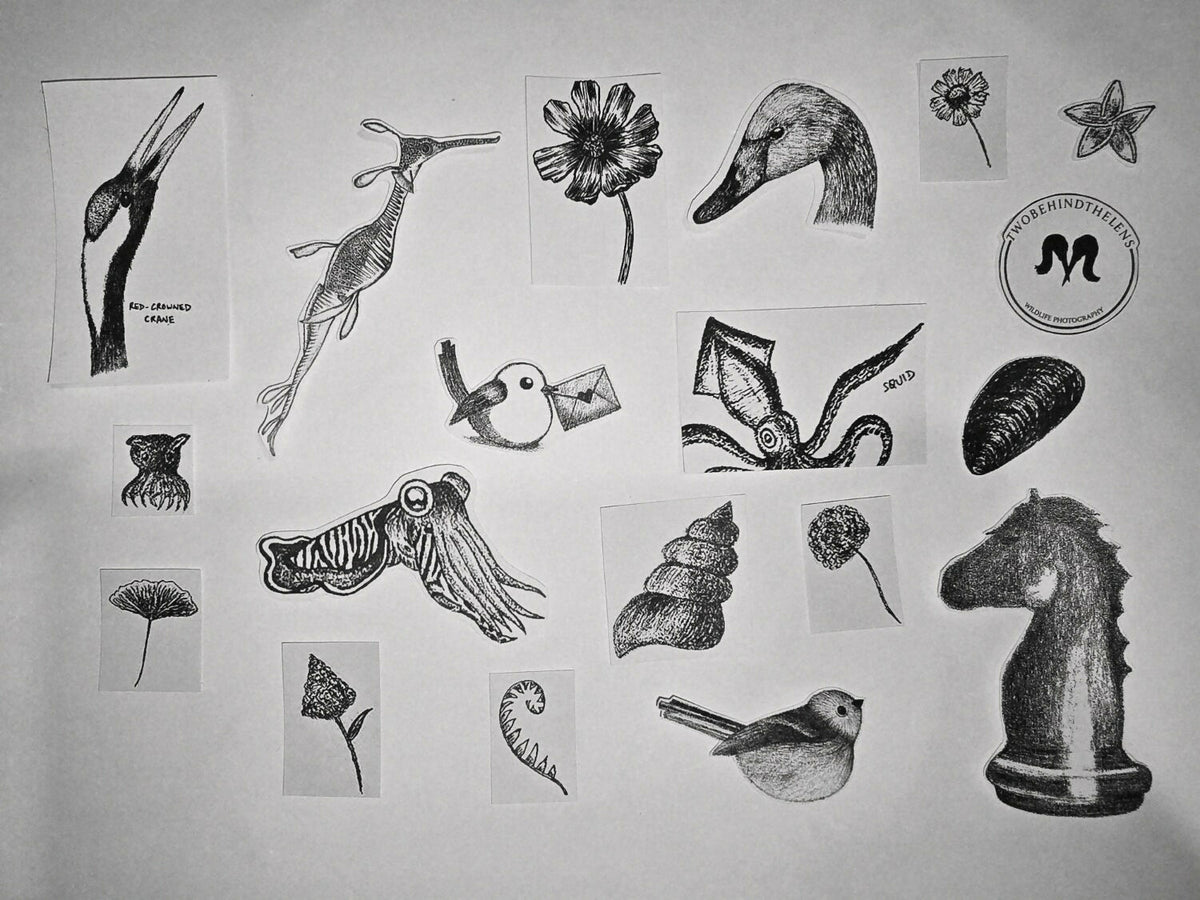 (MY ONLY) Set of 10 realistic pencil art stickers