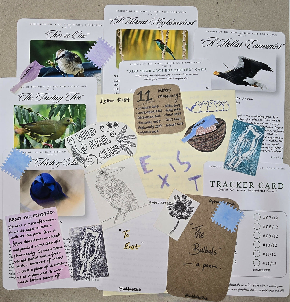 (MY ONLY) Wild Mail Club by TwoBehindTheLens