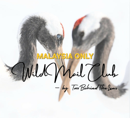 (MY ONLY) Wild Mail Club by TwoBehindTheLens