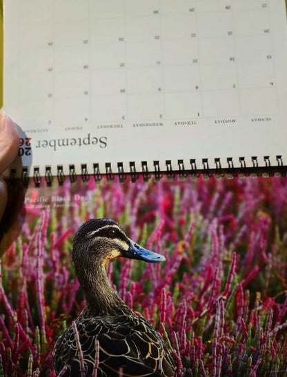 (MY ONLY) STOCK CLEARANCE!! Bundle set: 2026 Colours of the Wild A5 Desk Calendar & The month’s edition of Wild Mail Club