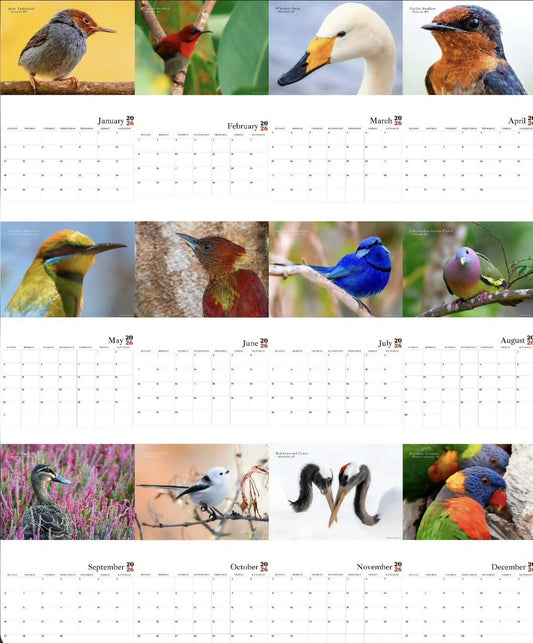 (MY ONLY) STOCK CLEARANCE!! Bundle set: 2026 Colours of the Wild A5 Desk Calendar & The month’s edition of Wild Mail Club