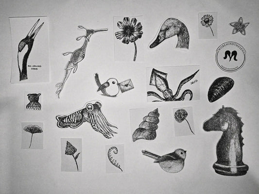(MY ONLY) Set of 10 realistic pencil art stickers