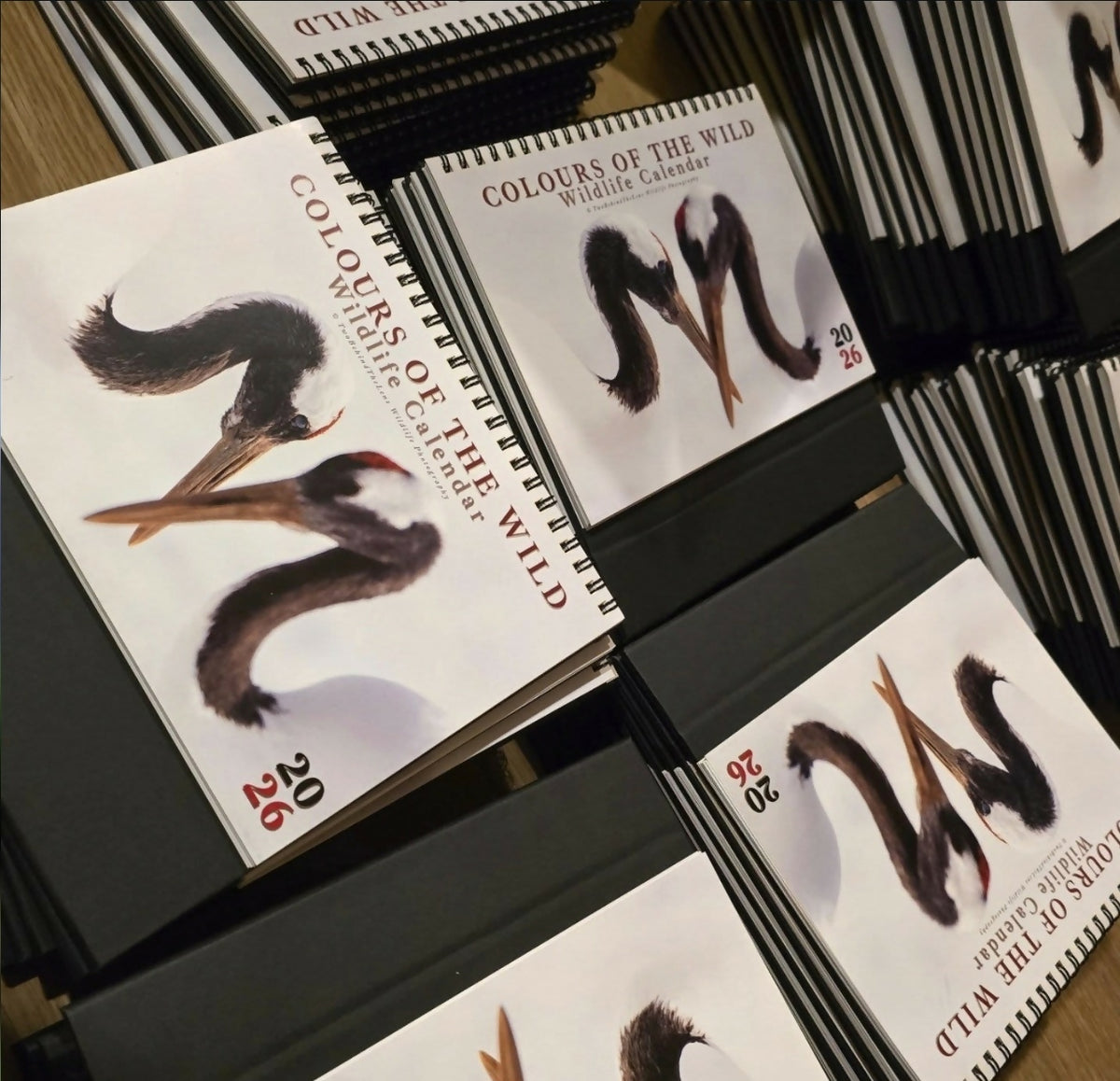 (MY ONLY) STOCK CLEARANCE!! Bundle set: 2026 Colours of the Wild A5 Desk Calendar & The month’s edition of Wild Mail Club