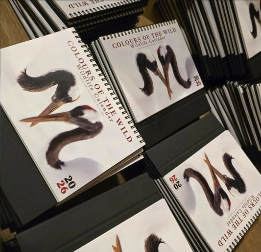 (MY ONLY) STOCK CLEARANCE!! Bundle set: 2026 Colours of the Wild A5 Desk Calendar & The month’s edition of Wild Mail Club