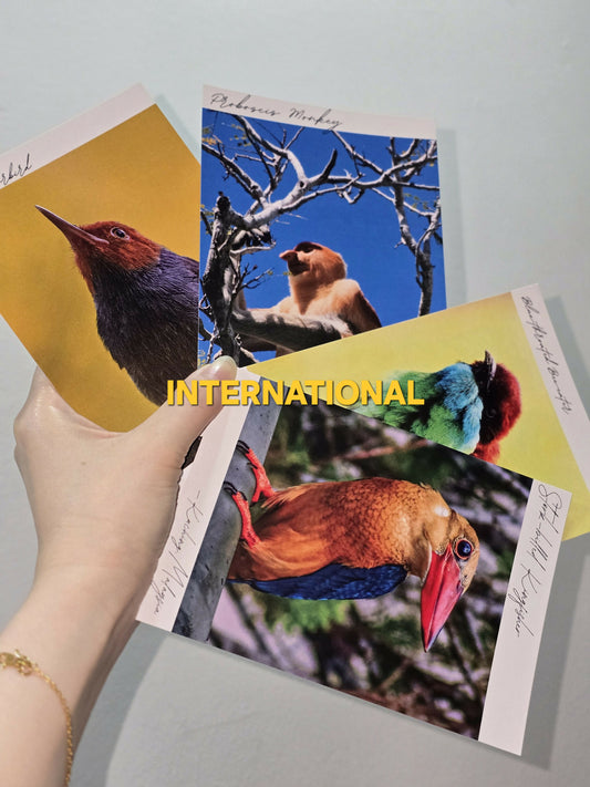 (INT) Set of 4 Borneo Wildlife A6 Postcards by TwoBehindTheLens