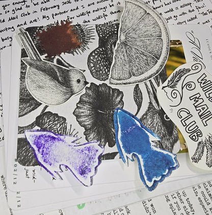 (INT) Wild Mail Club by TwoBehindTheLens