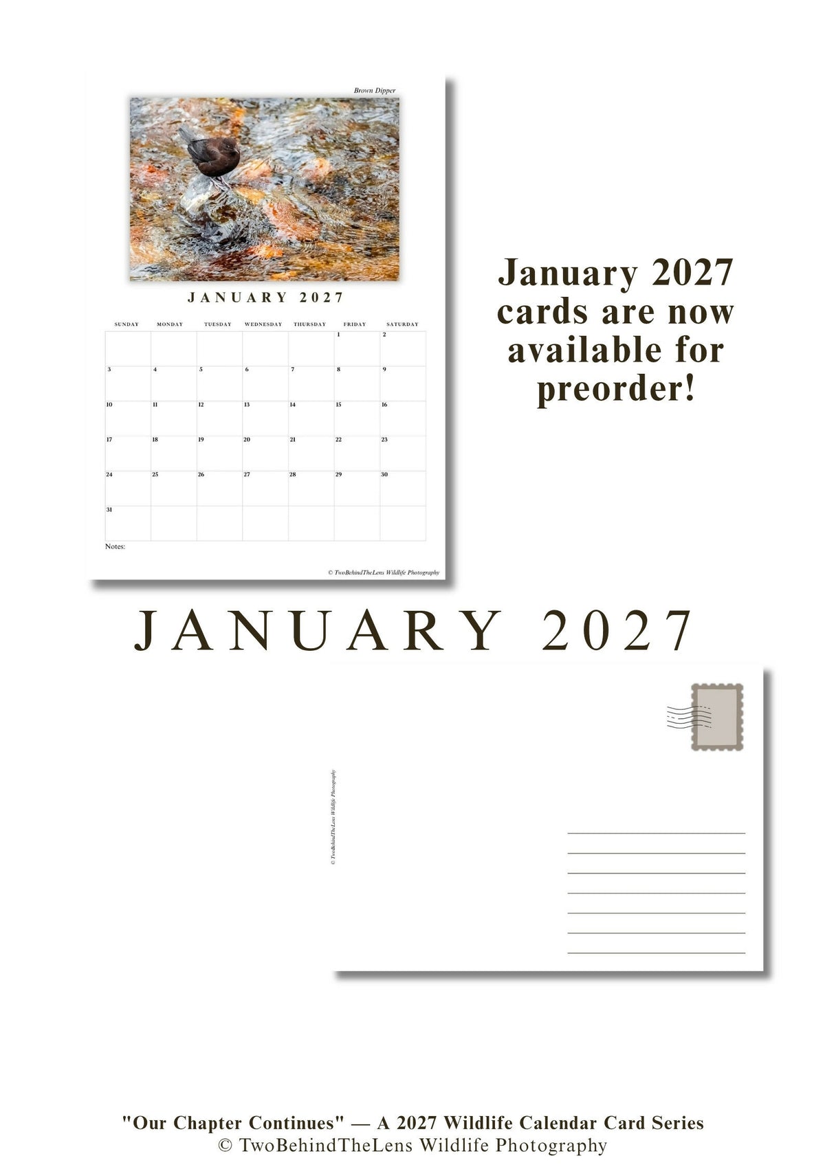 (INT) PREORDER JANUARY'S CARD NOW! "Our Chapter Continues" — A 2027 Wildlife Calendar Card Series by TwoBehindTheLens Wildlife Photography