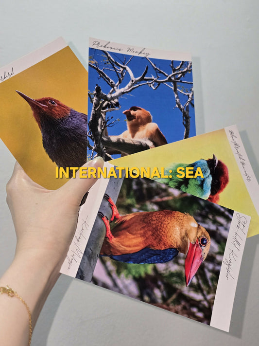 (INT: SEA ONLY) Set of 4 Borneo Wildlife A6 Postcards by TwoBehindTheLens