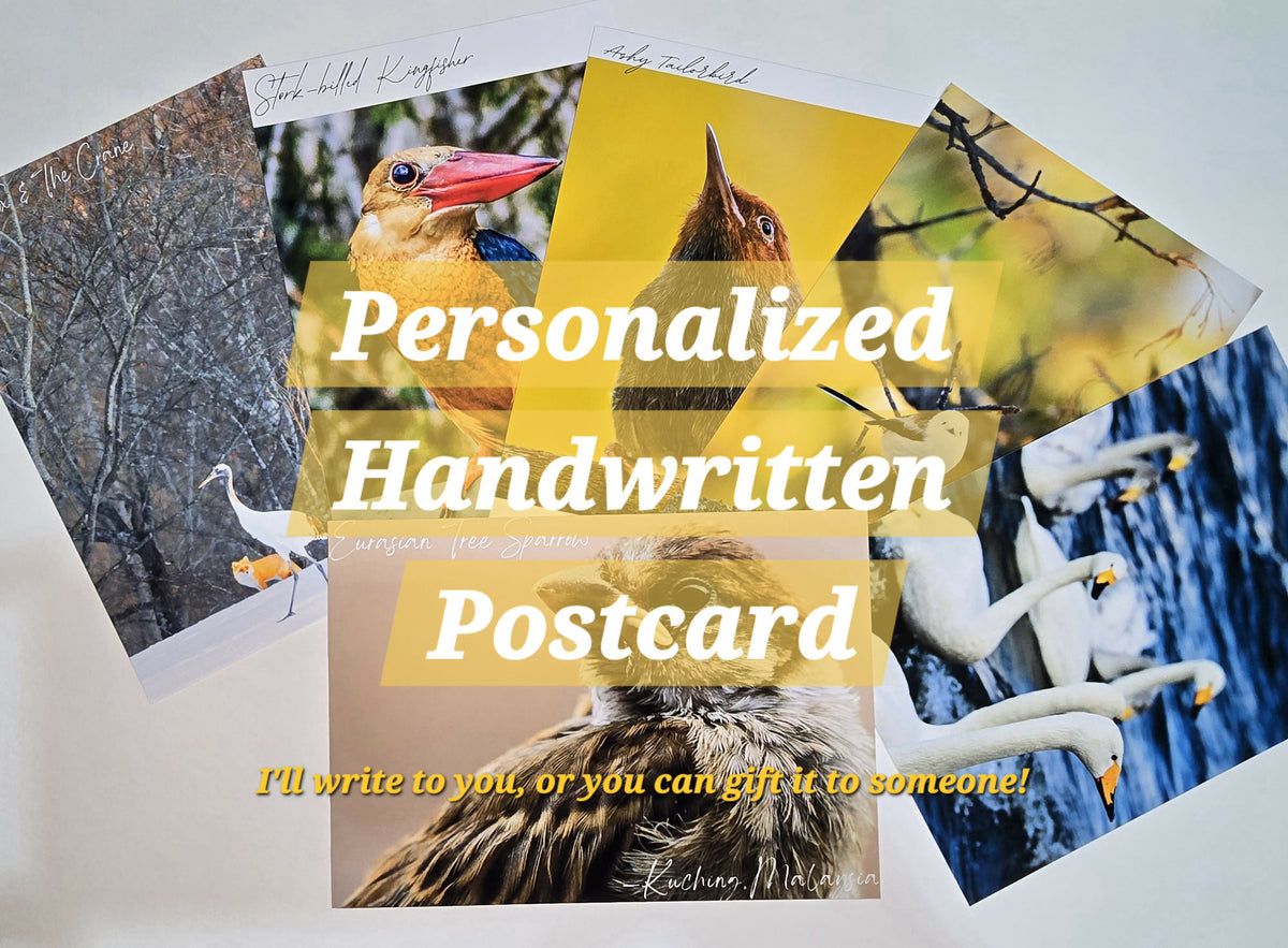 (MY ONLY) Personalized Handwritten Postcard — Let me write to you, or gift to a special someone!
