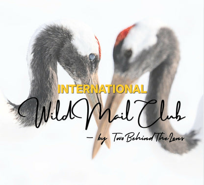 (INT) Wild Mail Club by TwoBehindTheLens